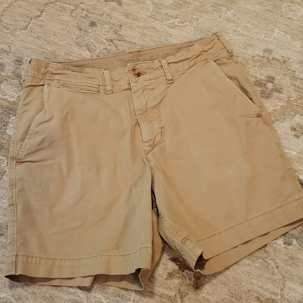 American Eagle Outfitters Tan Men's Shorts